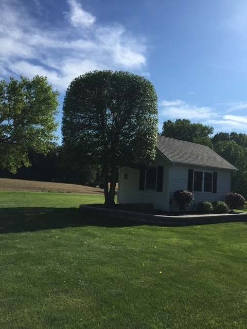 Deep root tree fertilization